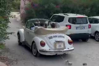 Sunny Cars - 6
