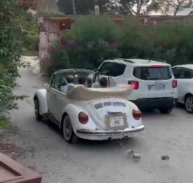 Sunny Cars - 1