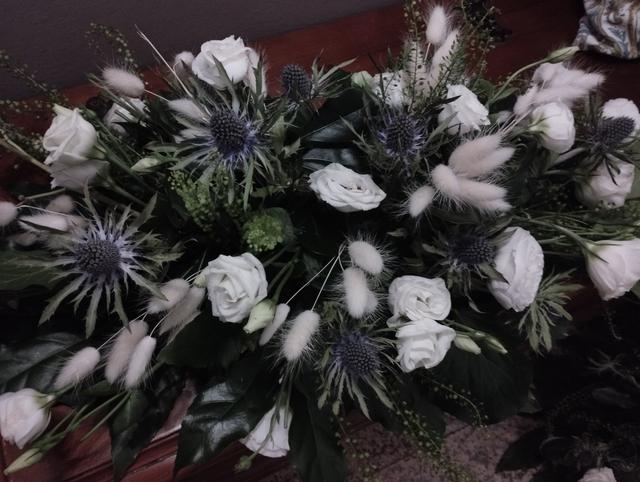 Le Cose di Sofia - 1