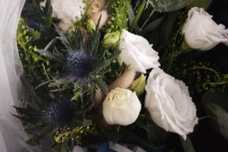 Le Cose di Sofia - 6