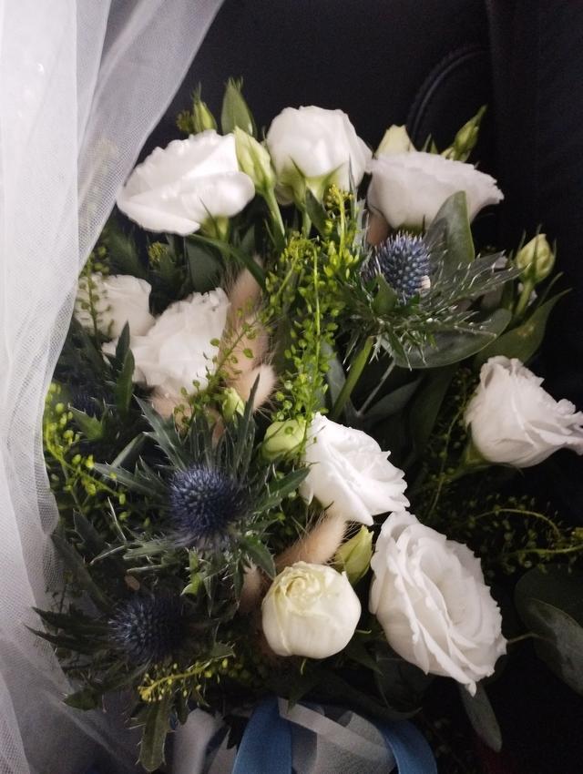 Le Cose di Sofia - 2