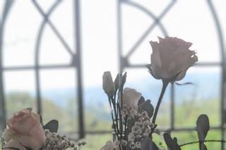 Eventi di Mara e Mauro - 10