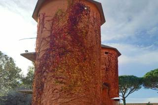 Laura Bartolini - 10