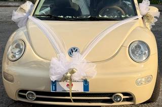 La Contessina New Beetle - 5