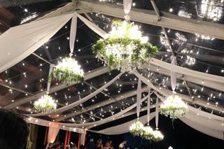 Mariella Carola - 14