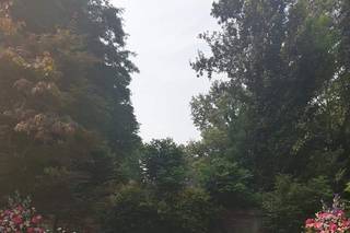 I Fiori della Corte - 17