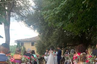 Bianchi Fiori e Piante - 16