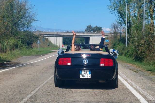 Classic Cars 4