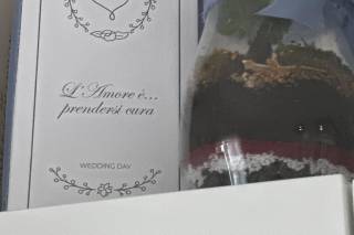 La scatola di Ward - 8