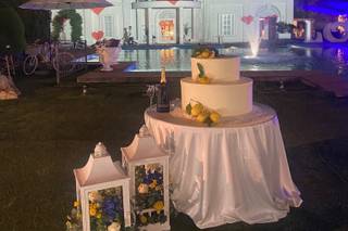 Colonna Wedding Studio - 11