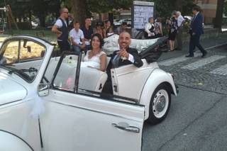 Classic Cars - 5