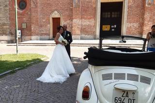 Classic Cars - 6