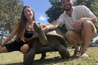Logitravel - 6