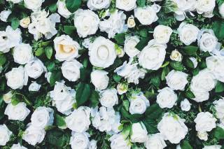 Linda Wedding and Events - 13