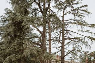 Castello di Tabiano - 6