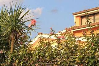 Villa Francesca - 15