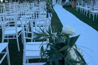 Queen Foto Video - 10