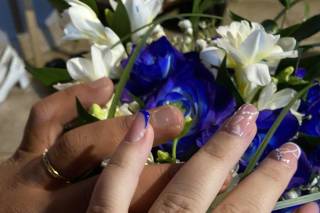 L'Albero della Vita - 16