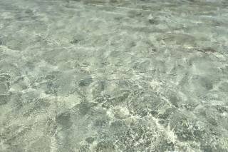 Agenzia Viaggi Santerno - 10