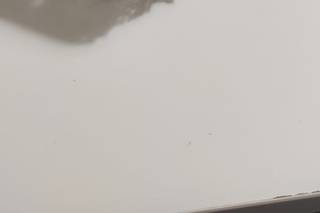 Apicoltura Marco Loria - 19