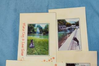 Maria Dog & Love Sitter - 13