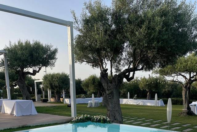 Paradiso la Baia Events 5