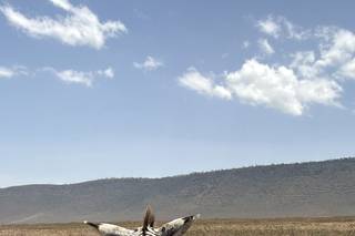 Renata Mandis Travel Designer - 5
