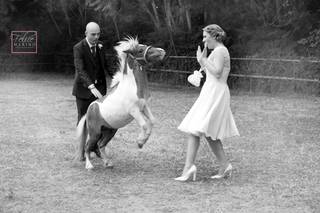 Felice Marino Photographer - 9