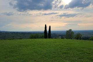 Tenuta La Tassera - 7