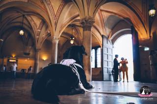 Wedding Dog Sitter - Alessio Faggi - 8