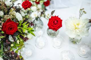 Garden Eden & Poi... - 8