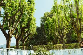 Piante e Fiori Valsecchi - 25