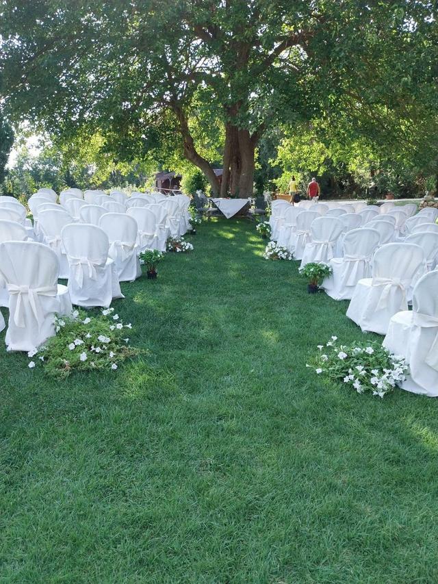 Il Torrino dei Gelsi - 2