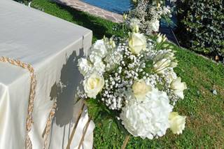 Piante e Fiori di Astolfi Italia - 7