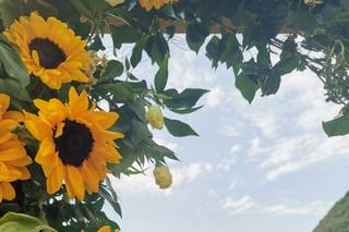 Di Fiore In Fiore - 28