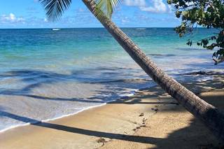 Euphemia Personal Voyager Dossobuono - 4