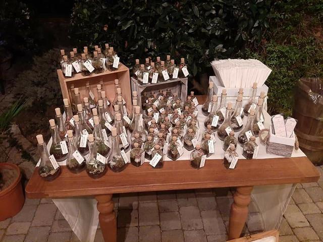 Il Giardino di Vetro - 4