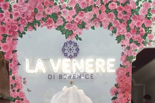 La Venere di Berenice - 7