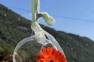 La Perla del Segrino - 9