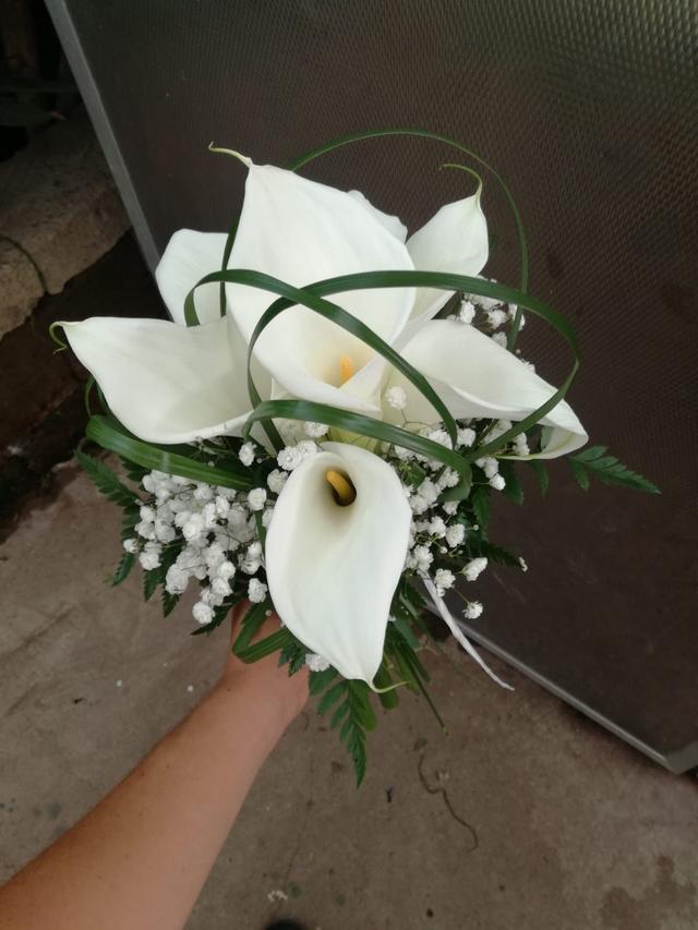 Floricoltura Oldani - 2