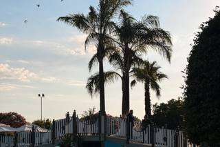 Il Ritrovo - 5