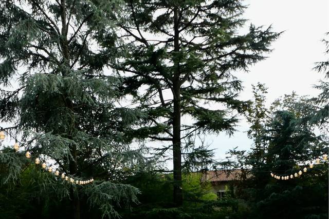 Le Muse Banqueting 3