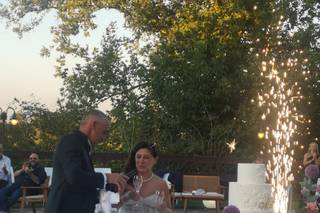 Theaviatordrones - 12