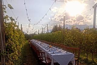 Il Laboratorio Fiorito - 18