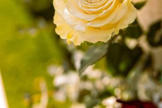 Un fiore e più di Carminati Debora - 12