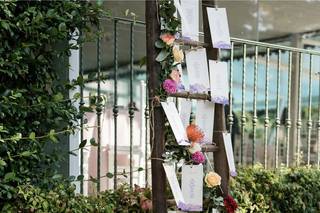 Colombo Fiori & Piante - 17