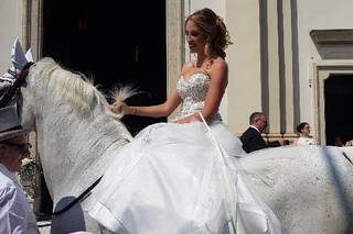 Carrozze Franchini - 10