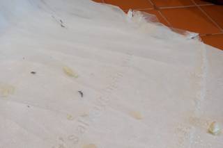 Exclusive Creations - 18