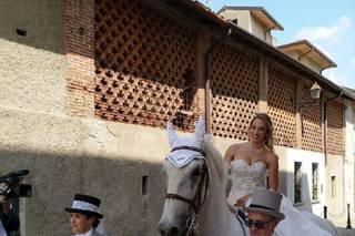 Carrozze Franchini - 11