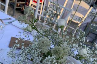 Claudia Cameranesi Floral Designer - 22